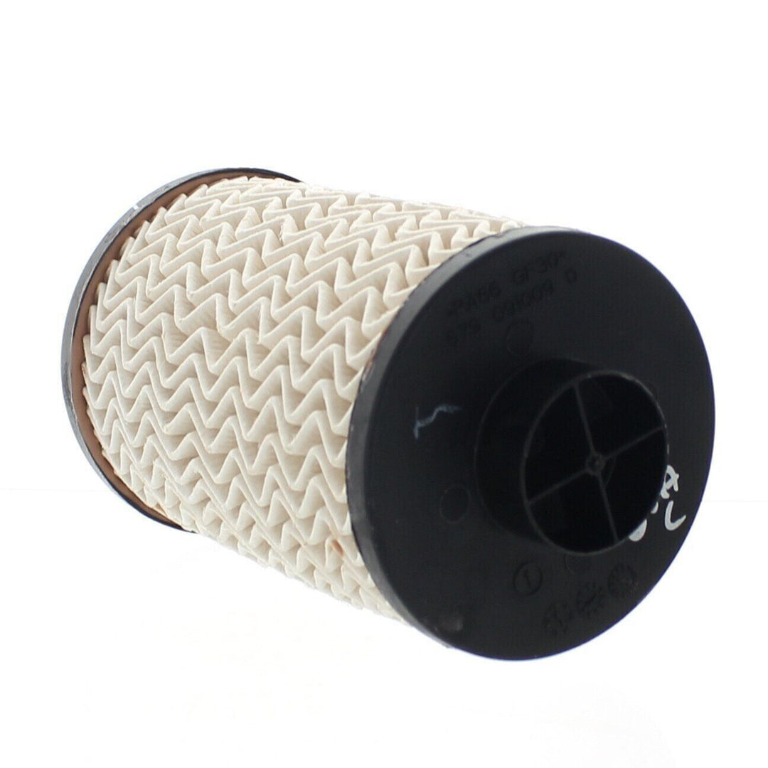 Fuel Filter 1001CAA14881N Fit For Mahindra Roxor Kuv 100/Tuv 300/Xuv 500 2nd Gen